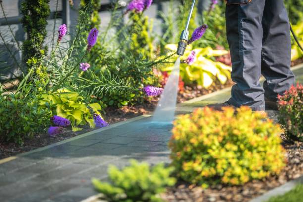 Best Animal Enclosure Cleaning  in Buchanan, VA
